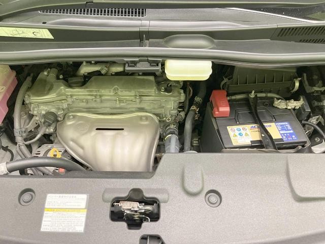 25754574_carP_l_18.jpg