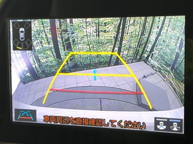 26645266_carP_l_10.jpg