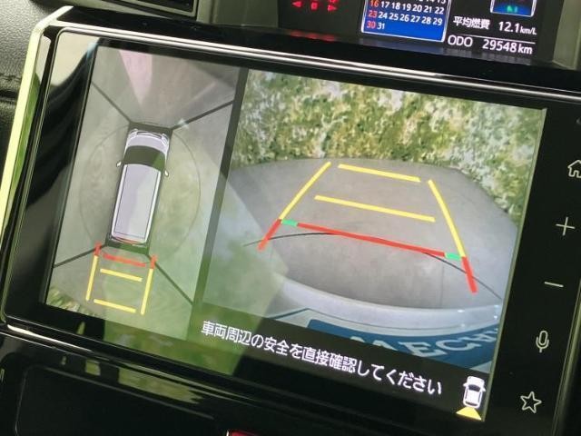 25555788_carP_l_6.jpg
