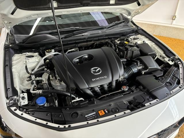 0560069A20260724W00509.jpg