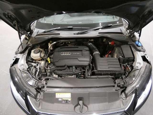 26530031_carP_l_12.jpg