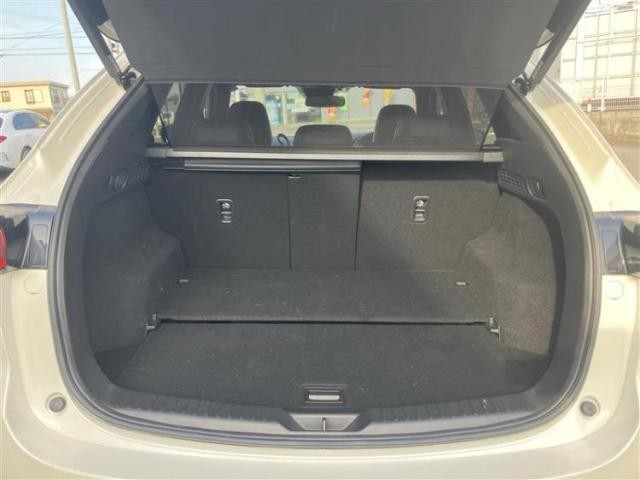 25556558_carP_l_14.jpg