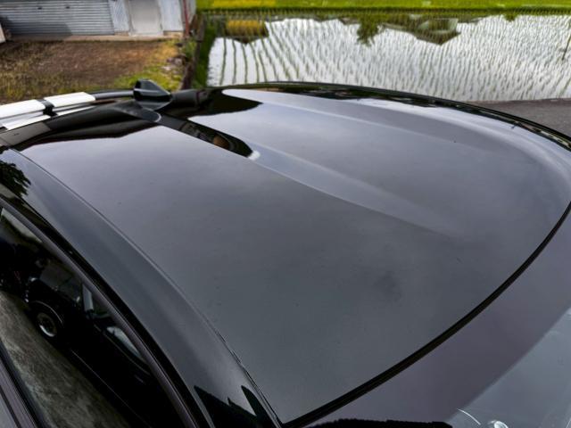 24484880_carP_l_19.jpg
