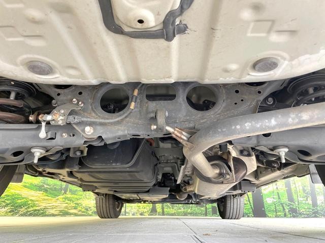 25592088_carP_l_18.jpg