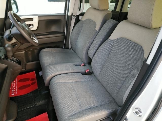 26329719_carP_l_4.jpg