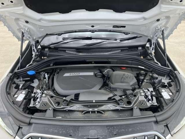 25717682_carP_l_9.jpg