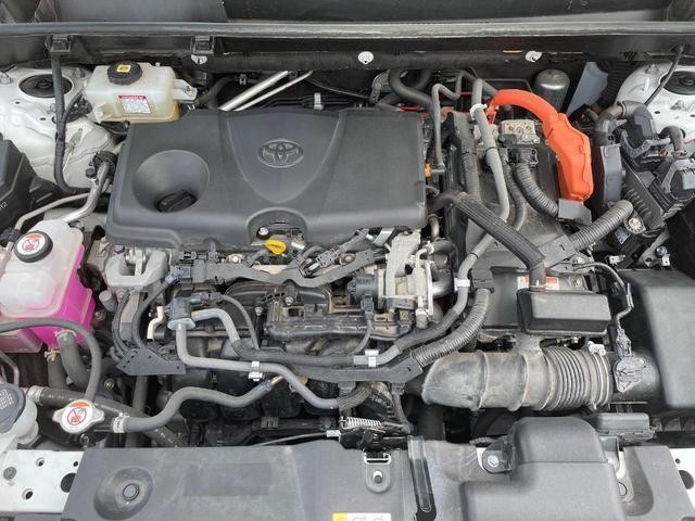 25923138_carP_l_12.jpg