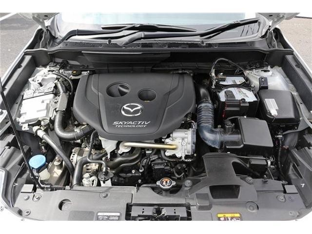 26340713_carP_l_20.jpg
