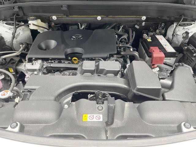 26357160_carP_l_12.jpg
