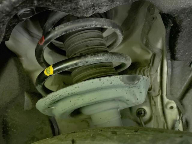 26357160_carP_l_18.jpg