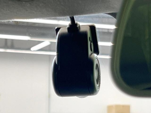 25611930_carP_l_10.jpg