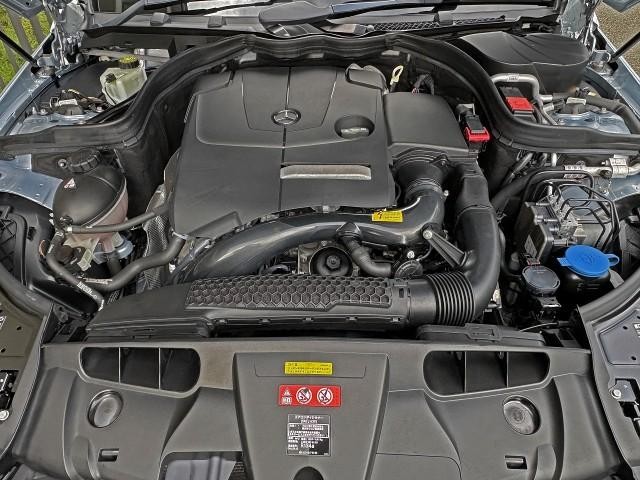 25556241_carP_l_17.jpg