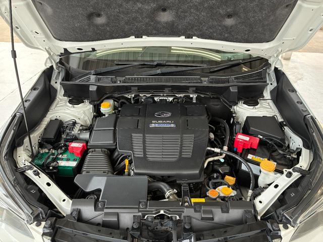 0402950A30260706W00317.jpg