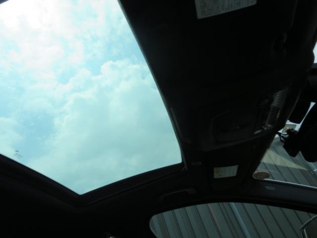 25719752_carP_l_12.jpg