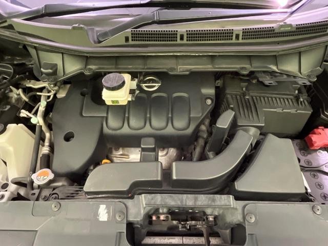 26838636_carP_l_18.jpg