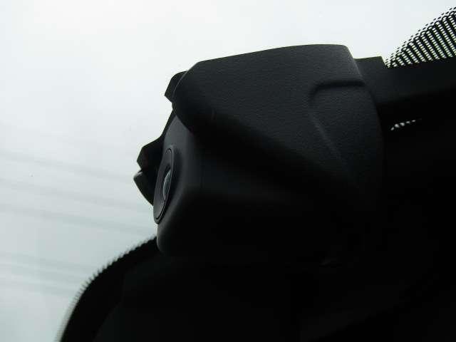 23720569_carP_l_9.jpg