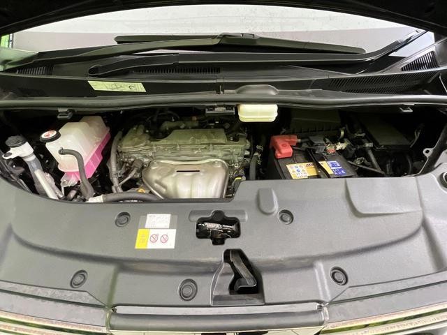 25754608_carP_l_16.jpg