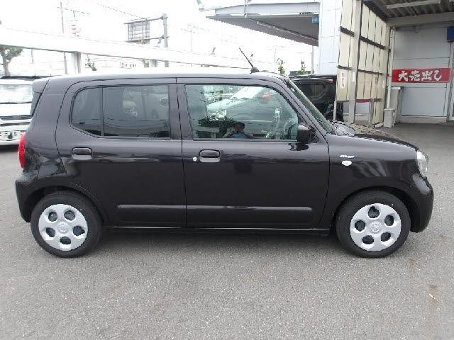 25263668_carP_l_2.jpg