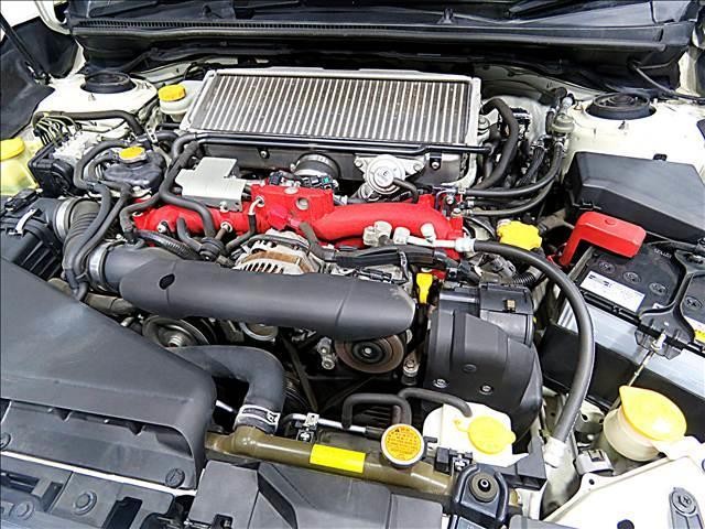 0207077A20260718D00419.jpg