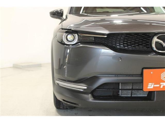 24204822_carP_l_12.jpg