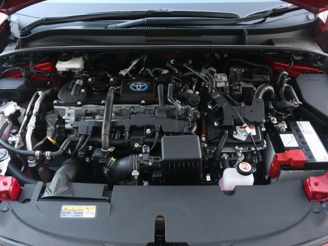 24521739_carP_l_17.jpg