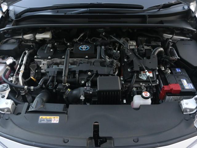 24521755_carP_l_17.jpg
