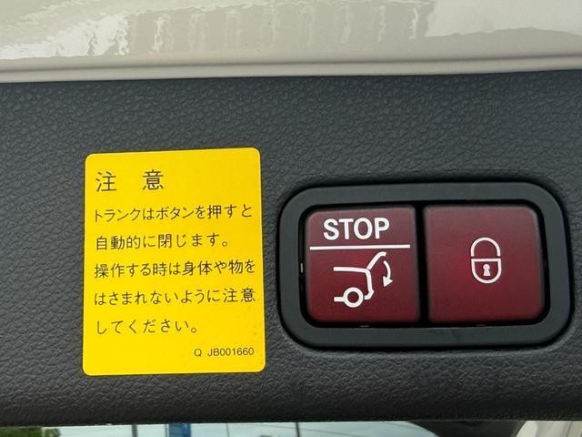 26462447_carP_l_20.jpg