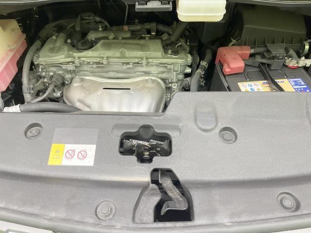 26230542_carP_l_18.jpg