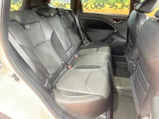 24869655_carP_l_5.jpg