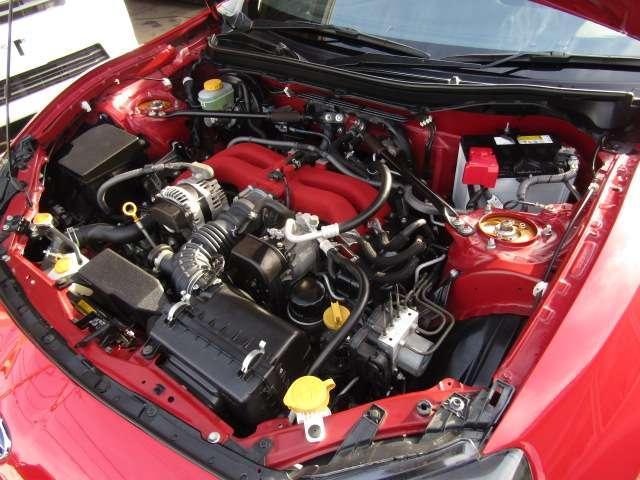 23452487_carP_l_9.jpg