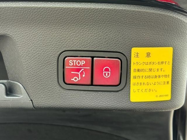 27052470_carP_l_16.jpg