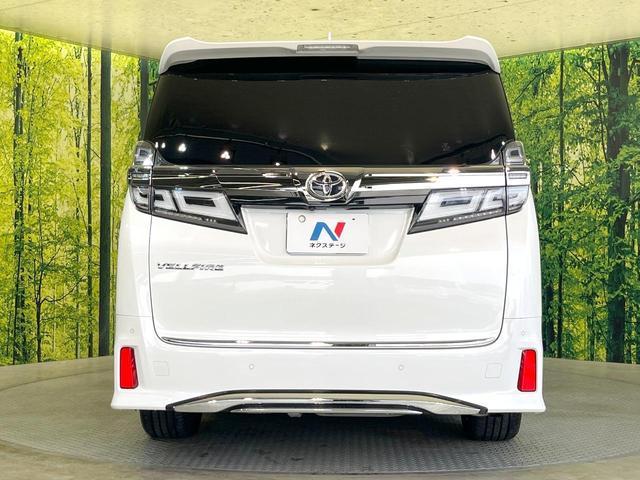 23575271_carP_l_11.jpg
