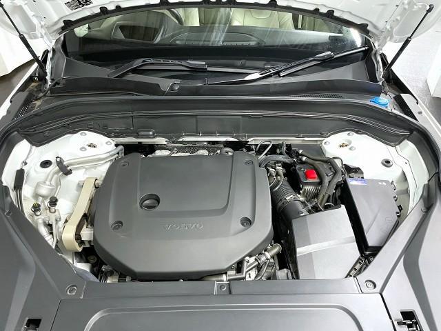 24850086_carP_l_17.jpg