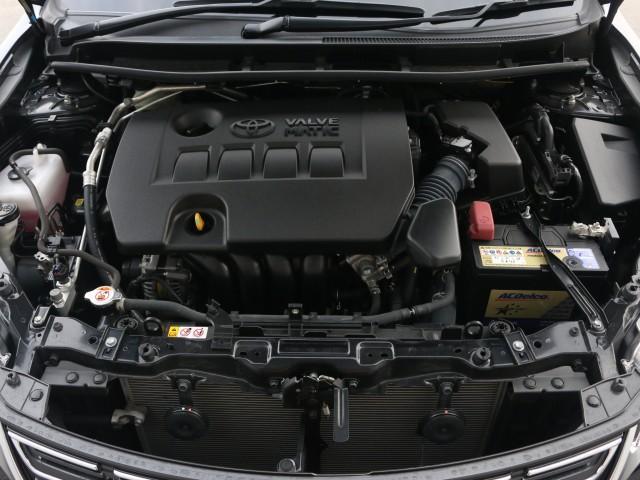24752710_carP_l_17.jpg
