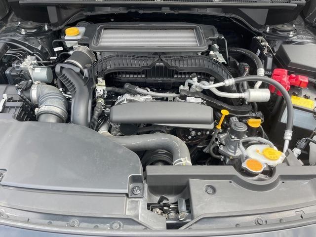 26710794_carP_l_20.jpg