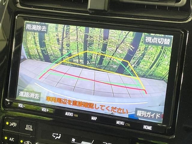 24869690_carP_l_10.jpg