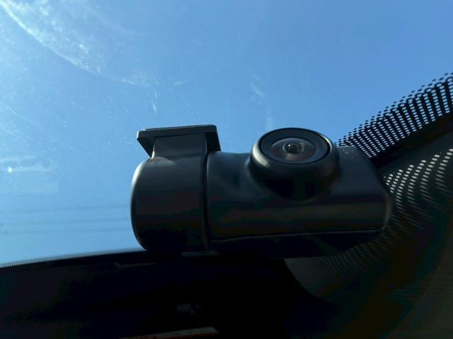 24828149_carP_l_20.jpg