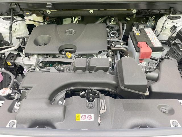 26230545_carP_l_16.jpg