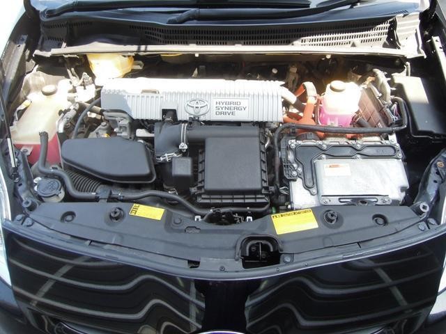 25298615_carP_l_12.jpg