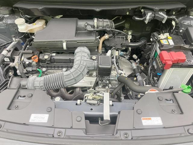 26230547_carP_l_16.jpg