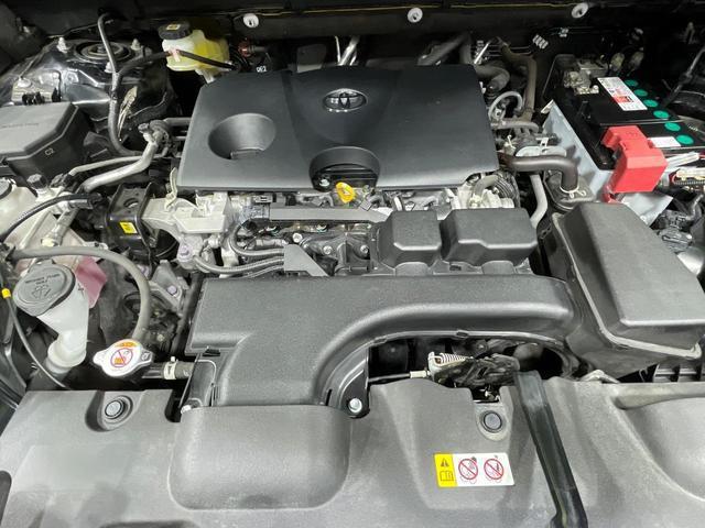 24381166_carP_l_16.jpg