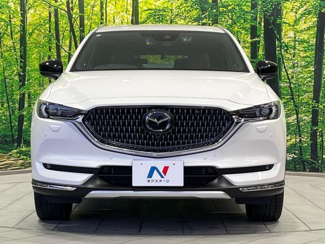 23595954_carP_l_9.jpg