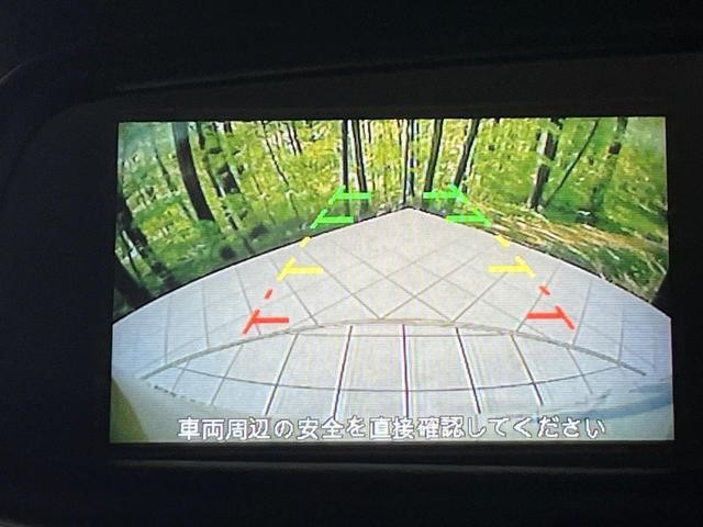 25487162_carP_l_4.jpg