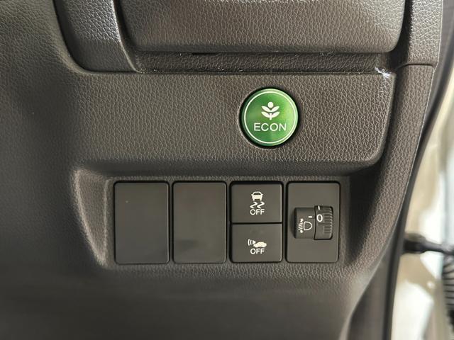 23550554_carP_l_10.jpg