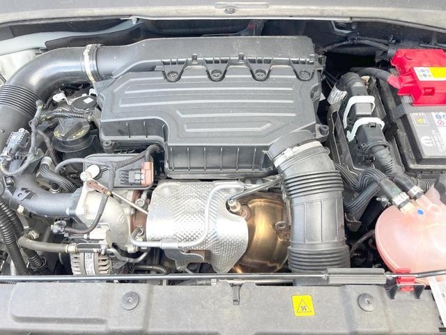 26314163_carP_l_18.jpg