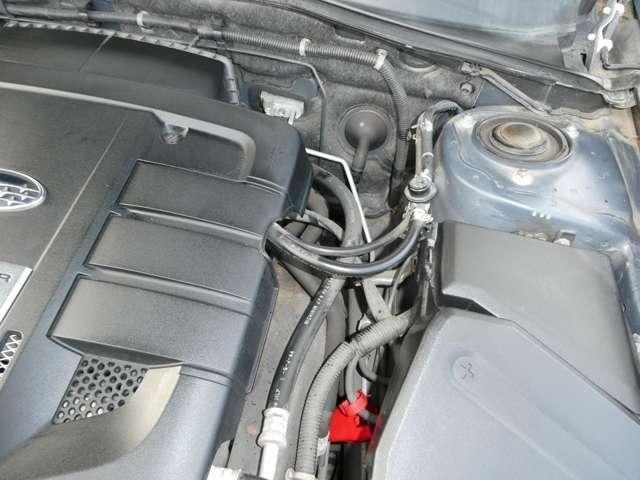 25421266_carP_l_7.jpg