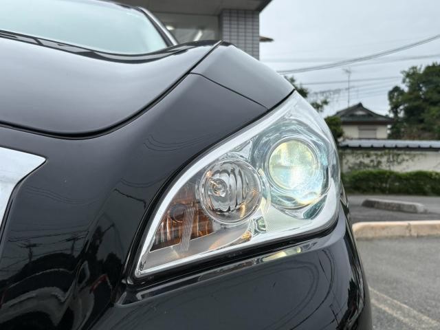 26711707_carP_l_6.jpg