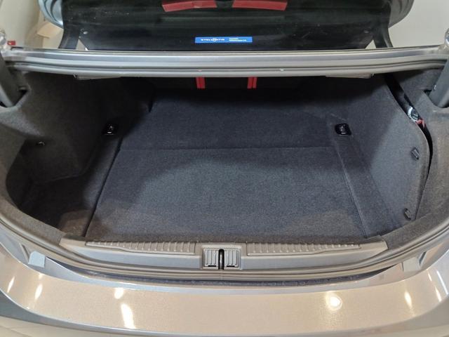 24240065_carP_l_6.jpg