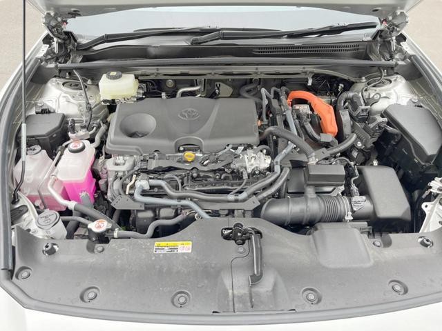 25384031_carP_l_18.jpg