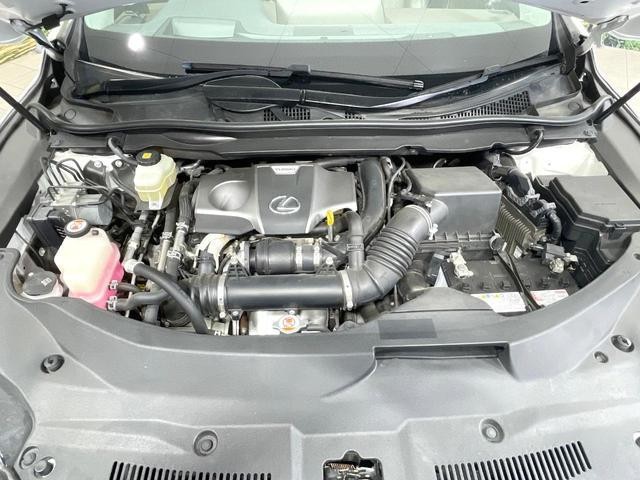 25015329_carP_l_16.jpg